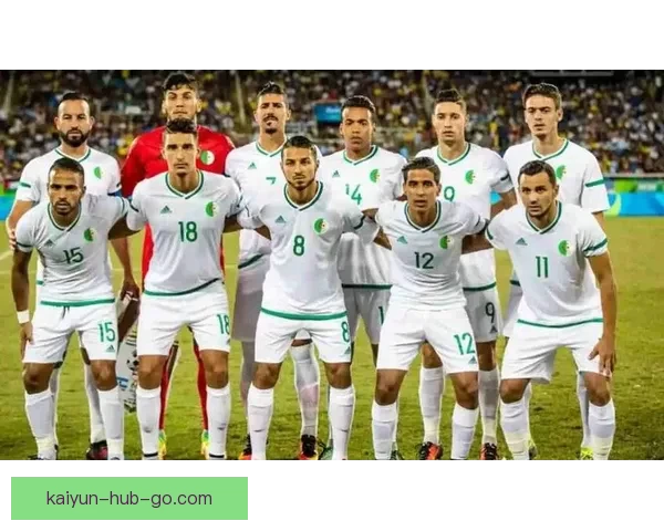 2026世界杯三国联合举办精彩赛事全面解析